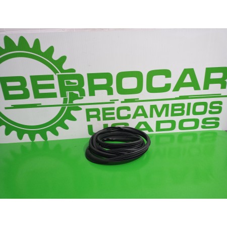 Recambio de gomas contorno puerta para renault scenic ii 1.9 dci diesel referencia OEM IAM 8200077500  