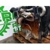 Recambio de motor completo para renault scenic ii 1.5 dci diesel referencia OEM IAM K9K732  