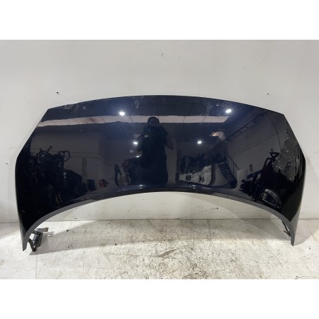 Recambio de capot para renault scenic ii grand confort dynamique referencia OEM IAM 651001097R  