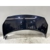 Recambio de capot para renault scenic ii grand confort dynamique referencia OEM IAM 651001097R  