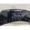 Recambio de capot para renault scenic ii grand confort dynamique referencia OEM IAM 651001097R  