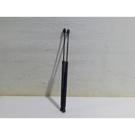 Recambio de amortiguadores maletero / porton para renault scenic ii grand confort dynamique referencia OEM IAM 8200616559  