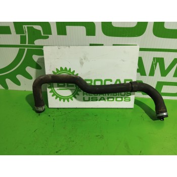 Recambio de tubo para peugeot 306 berlina 3/4/5 puertas (s2) 1.9 diesel referencia OEM IAM 1351ZC  