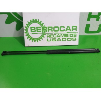 AMORTIGUADORES CAPO 9629219580 