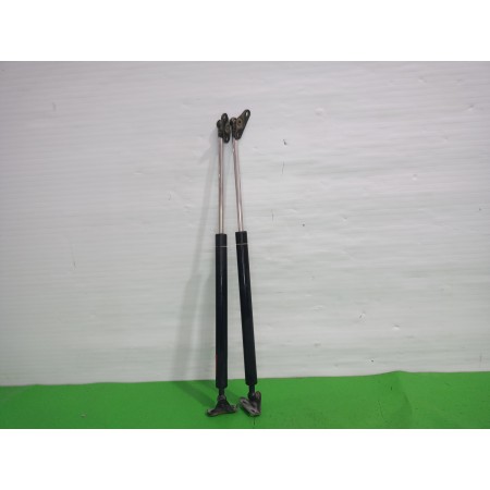Recambio de amortiguadores maletero / porton para lexus rx 300(mcu35) luxury referencia OEM IAM 6895049185  
