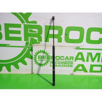 AMORTIGUADORES CAPO 24465295 