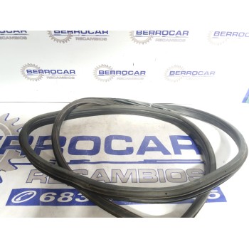 GOMAS CONTORNO PUERTA 24463084 