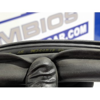 Recambio de goma contorno para peugeot 307 (s1) 2.0 hdi cat referencia OEM IAM 9634451580  