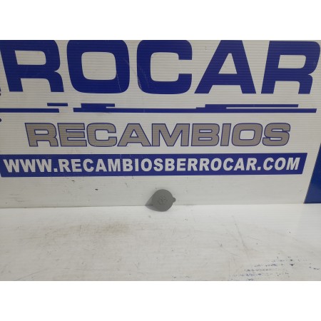 Recambio de tapon limpia para nissan x-trail (t31) 2.0 16v cat referencia OEM IAM 289134CC1A  