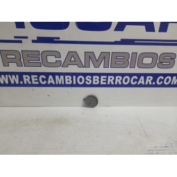 Recambio de tapon limpia para nissan x-trail (t31) 2.0 16v cat referencia OEM IAM 289134CC1A  