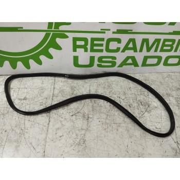 GOMAS CONTORNO PUERTA XR845063 