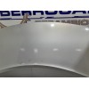 Recambio de capot para renault scenic ii referencia OEM IAM 651001097R  