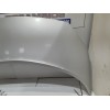 Recambio de capot para renault scenic ii referencia OEM IAM 651001097R  