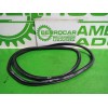 Recambio de goma contorno para audi a4 berlina (8e) 2.5 tdi (120kw) referencia OEM IAM 8E0837912M  