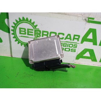 Recambio de centralita motor uce para seat ibiza (6l1) cool referencia OEM IAM 038906019NL  