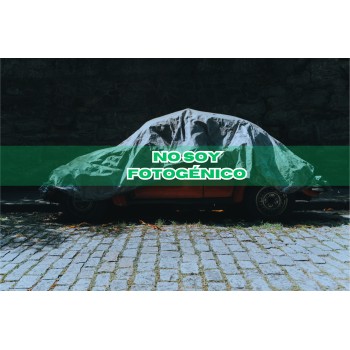 seat ibiza (6l1) del año 2005