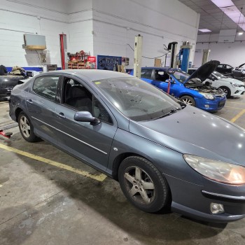 peugeot 407 (6d_) del año 2004