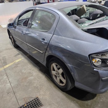 peugeot 407 (6d_) del año 2004