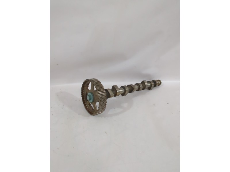 Recambio de arbol de levas para seat ibiza ii (6k1) 1.9 sdi referencia OEM IAM 36109101AA  