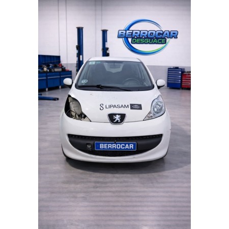 peugeot 107 (pm_, pn_) del año 2007