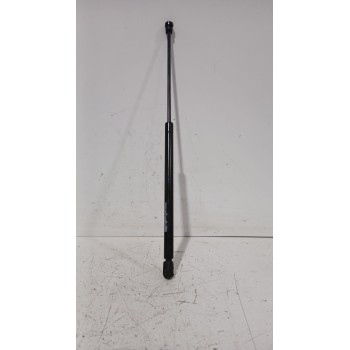 AMORTIGUADORES CAPO 1567RH0310N 