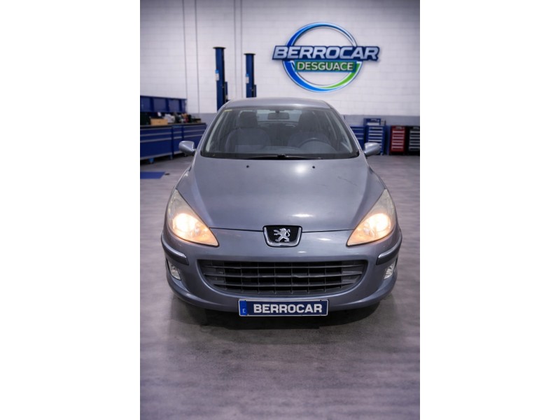 peugeot 407 (6d_) del año 2004