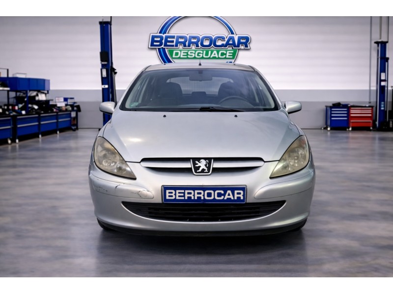 PEUGEOT 307 (S1)