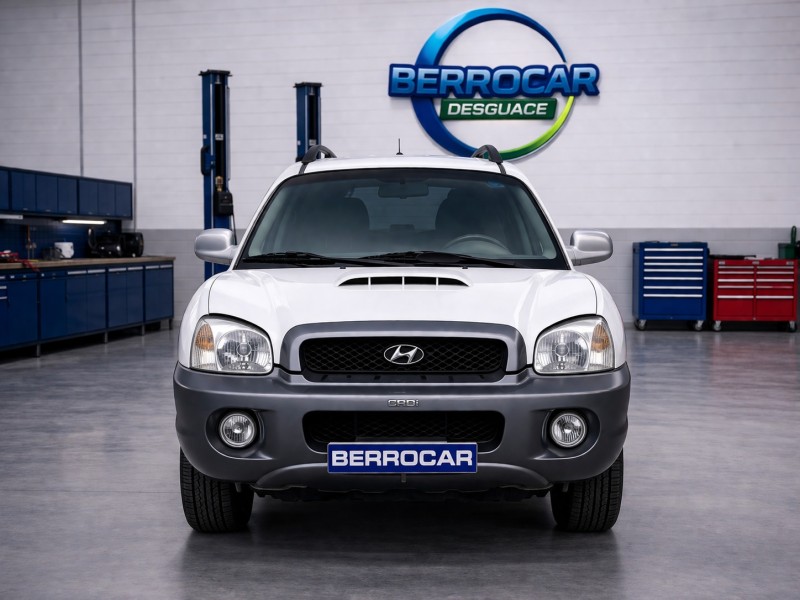 HYUNDAI SANTA FE (SM)