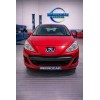 peugeot 207 del año 2010
