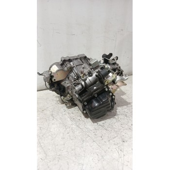 CAJA CAMBIOS 303002D110 