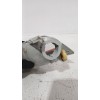 Recambio de piloto trasero derecho para ford focus ii (da_, hcp, dp) 1.6 referencia OEM IAM 5M5115K272AA  