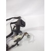 Recambio de cableado puerta para renault clio iii (br0/1, cr0/1) 1.4 16v referencia OEM IAM 8200504548A  