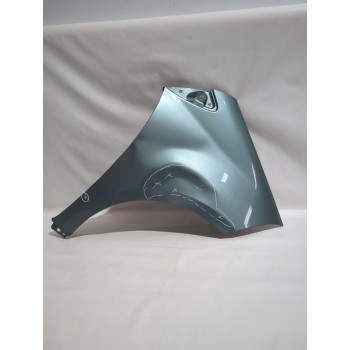 Recambio de aleta delantera derecha para mercedes-benz clase a (w169) a 160 cdi (169.006, 169.306) referencia OEM IAM 1698810201