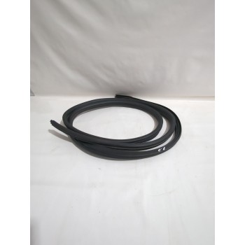 GOMAS CONTORNO PUERTA 8200425627 