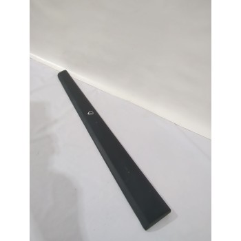 MOLDURA 808203894R 