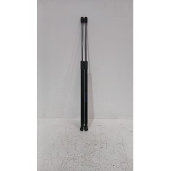 AMORTIGUADORES MALETERO / PORTON 13258179 