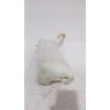 Recambio de deposito limpia para renault clio iii (br0/1, cr0/1) 1.4 16v referencia OEM IAM 7701058023  