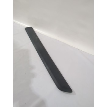 MOLDURA 808211241R 