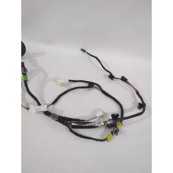 CABLEADO PUERTA BERG67190C 