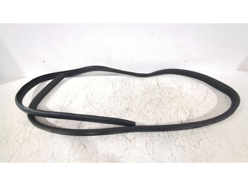 Recambio de gomas contorno puerta para dacia sandero ii (b8_) 1.5 dci referencia OEM IAM 769238705R  