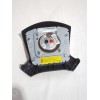 Recambio de airbag delantero izquierdo para toyota avensis (_t25_) 1.8 (zzt251_) referencia OEM IAM 4513005112B0  