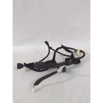 CABLEADO PUERTA 20980133 