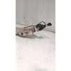 Recambio de refuerzo paragolpes delantero para audi a4 b6 (8e2) 2.0 referencia OEM IAM 8E0807109C  