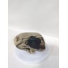 Recambio de cinturon seguridad trasero izquierdo para ssangyong rexton / rexton ii (gab_) 2.7 xdi referencia OEM IAM 7560008005 