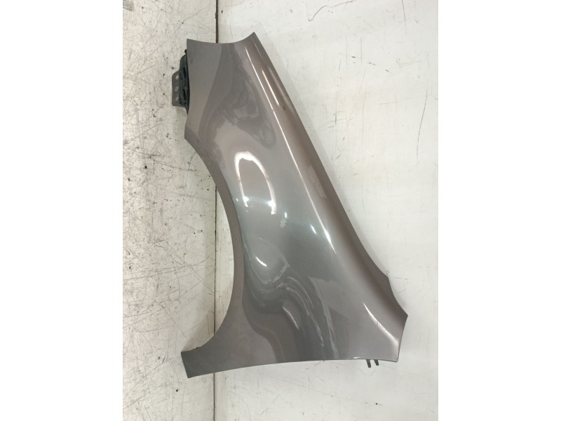 Recambio de aleta delantera izquierda para volkswagen golf v (1k1) 1.9 tdi referencia OEM IAM 1K6821021A  