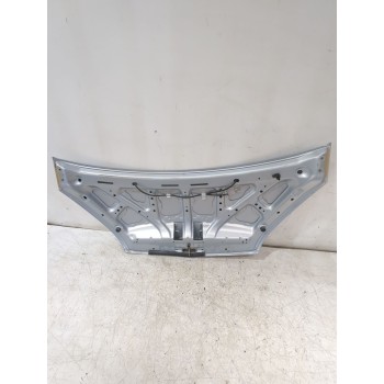 Recambio de capot para mitsubishi colt vi (z3_a, z2_a) 1.1 (z31a, z32a) referencia OEM IAM MN161899  