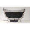 Recambio de capot para hyundai tucson (jm) 2.0 crdi referencia OEM IAM 664002E020  