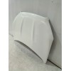 Recambio de capot para nissan qashqai i (j10, nj10) 1.5 dci referencia OEM IAM F5100BR0MC  