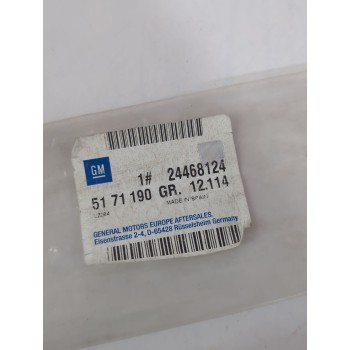 Recambio de moldura para opel referencia OEM IAM 24467290/24468124  