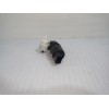 Recambio de bomba limpia para » otros... modelos referencia OEM IAM 738834901  